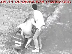 Daisy và Đâm quả bóng trong bóng phim xet bo chong nang dau nhat ban bay