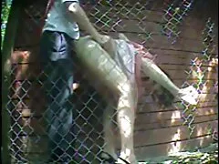 Công phin xet nhat Chúa Nikki
